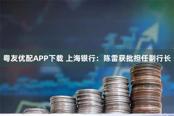 粤友优配APP下载 上海银行：陈雷获批担任副行长