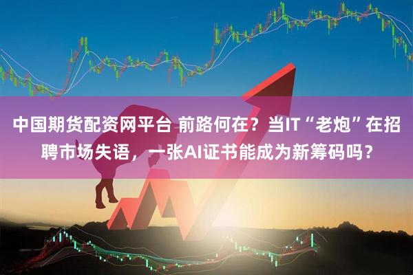 中国期货配资网平台 前路何在？当IT“老炮”在招聘市场失语，一张AI证书能成为新筹码吗？