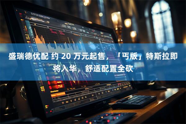 盛瑞德优配 约 20 万元起售，「丐版」特斯拉即将入华，舒适配置全砍